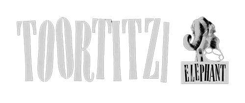 Tortizi
